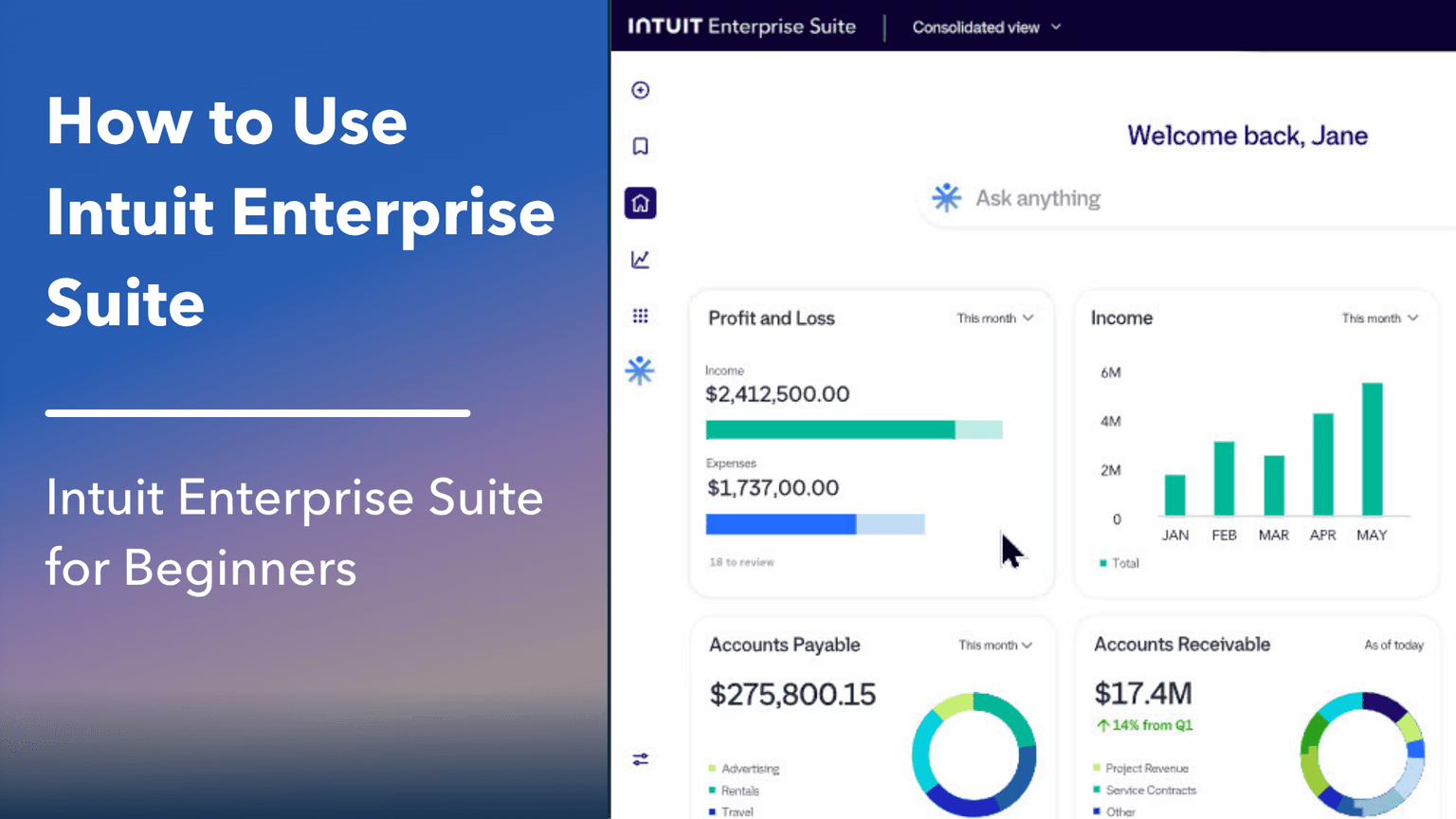 Intuit Enterprise Suite for Beginners