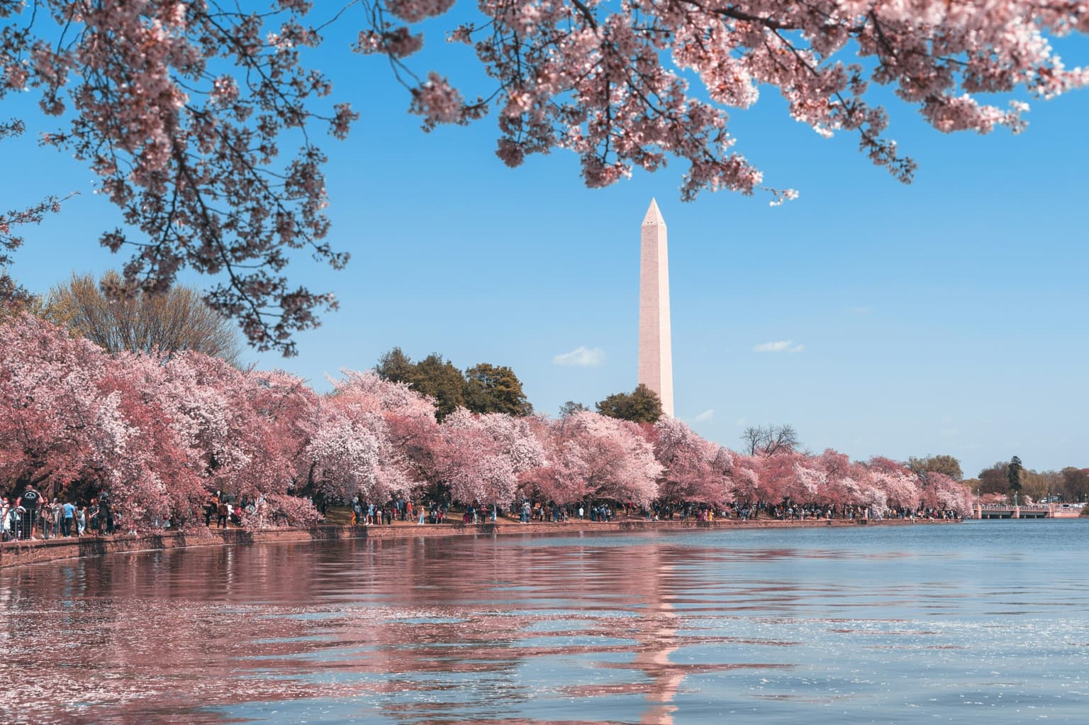 QuickBooks training classes near Washington, DC