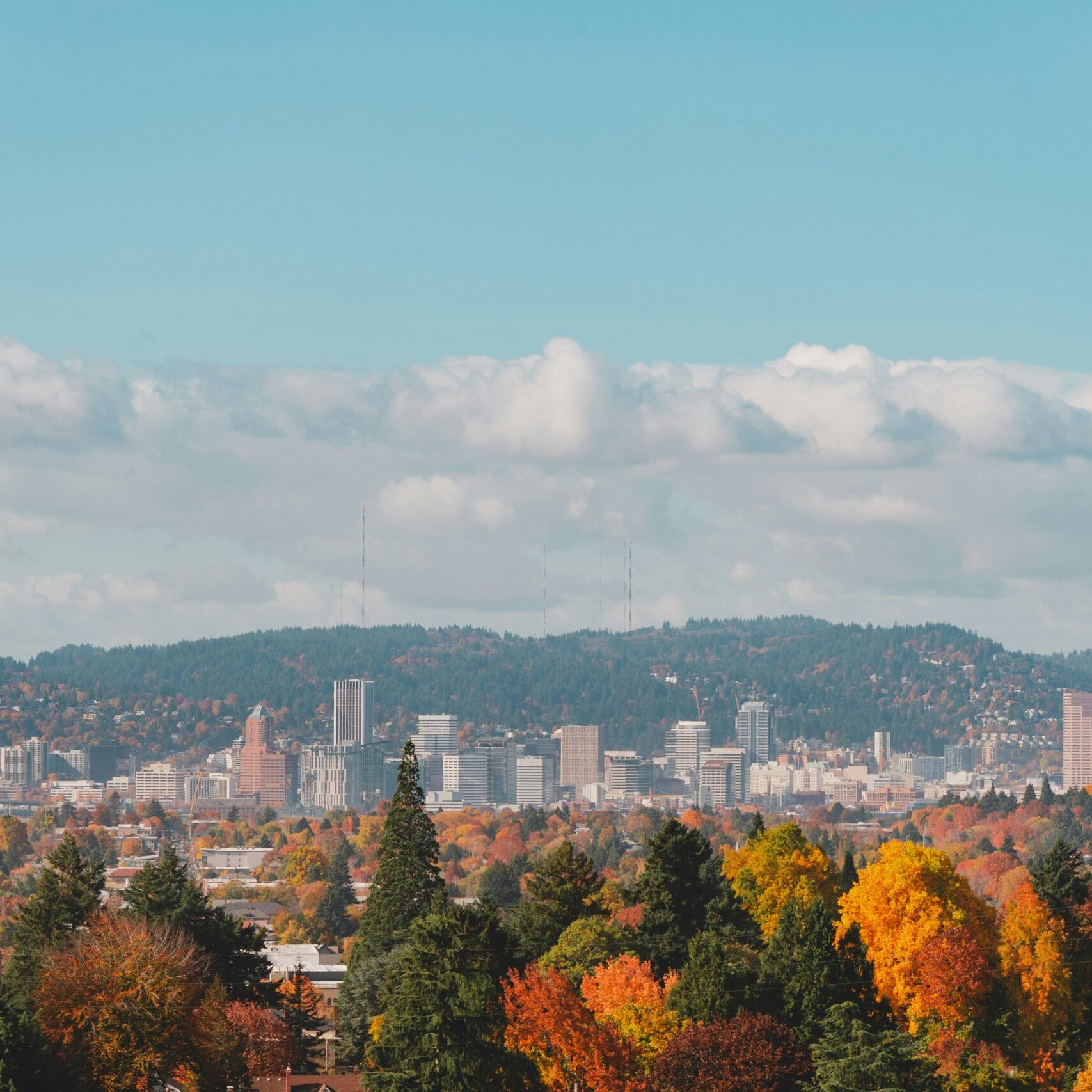 Portland